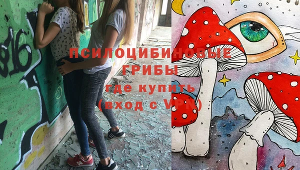 сатива Кодинск