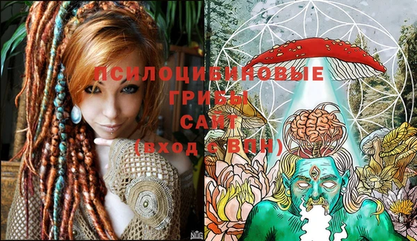 сатива Кодинск