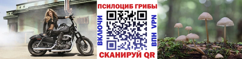 Псилоцибиновые грибы мицелий  Купить закладки  Волчанск 